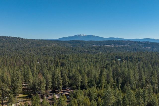 31912 N Zander Ln, Chattaroy, WA 99003