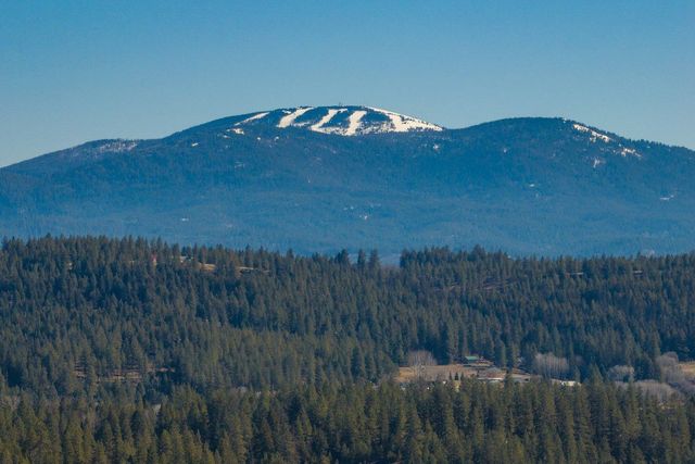 31912 N Zander Ln, Chattaroy, WA 99003