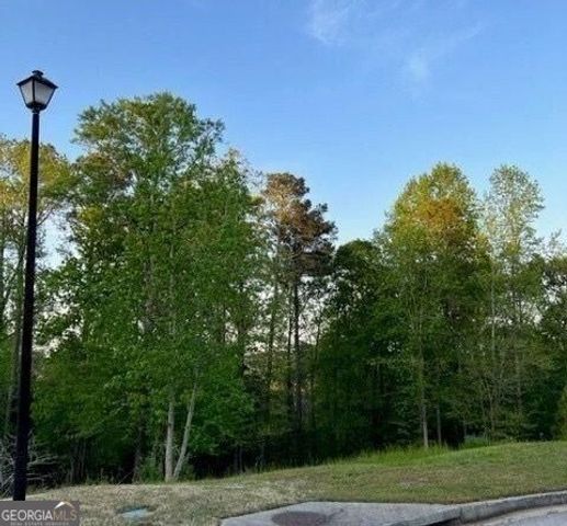 1628 Alcovy Ridge Crossing Crossing, Loganville, GA 30052
