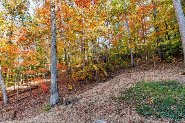 6960 Hardwicks Creek Road, Stanton, KY 40380