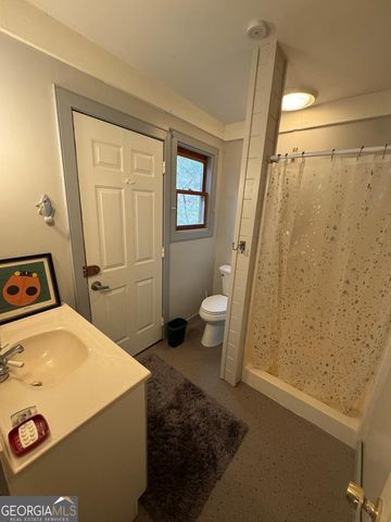 14092 Big Creek Road, Cherry Log, GA 30522