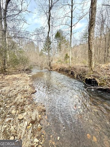 14092 Big Creek Road, Cherry Log, GA 30522