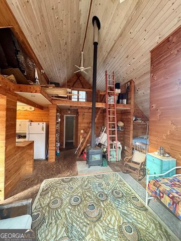 14092 Big Creek Road, Cherry Log, GA 30522