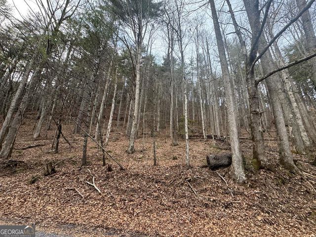 14092 Big Creek Road, Cherry Log, GA 30522