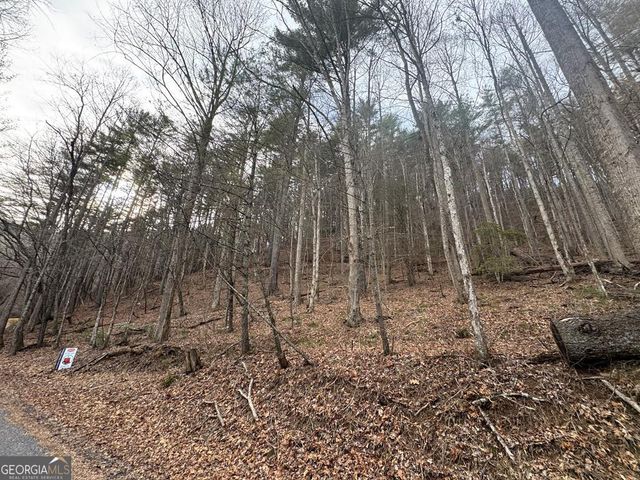 14092 Big Creek Road, Cherry Log, GA 30522