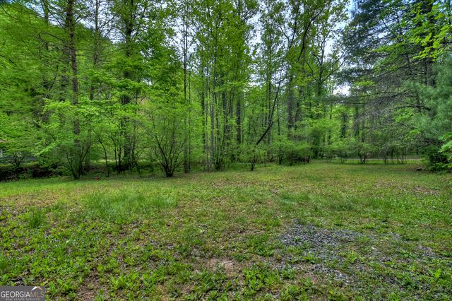 14092 Big Creek Road, Cherry Log, GA 30522
