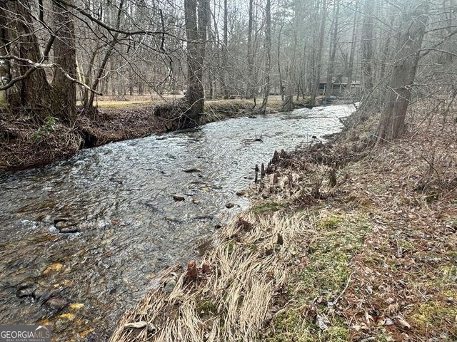 14092 Big Creek Road, Cherry Log, GA 30522