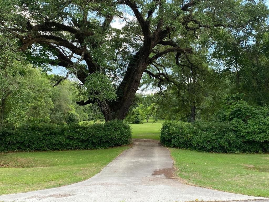 5659 S Rocky Creek, Ashford, AL 36312