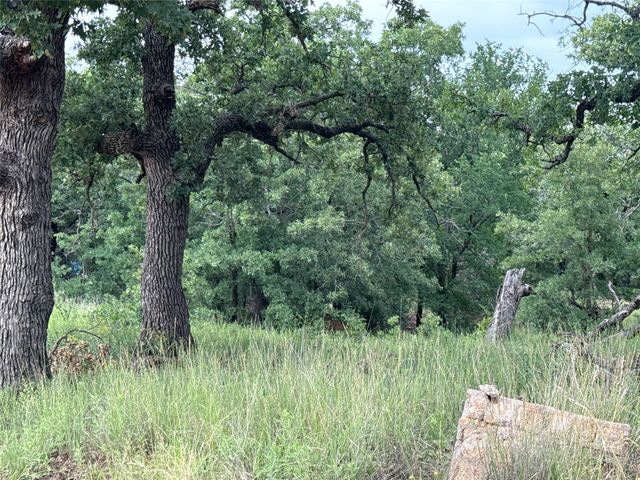 316 County Road 458, De Leon, TX 76444