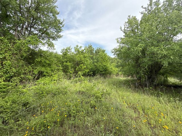 316 County Road 458, De Leon, TX 76444