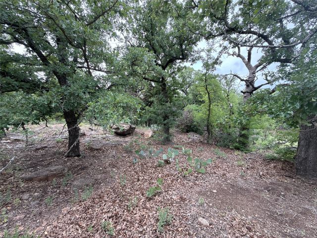 316 County Road 458, De Leon, TX 76444