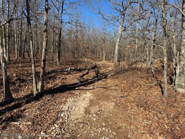 13843 E 586, Rose, OK 74364