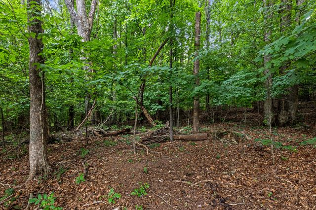 7813 Clara Chase Drive, Ooltewah, TN 37363