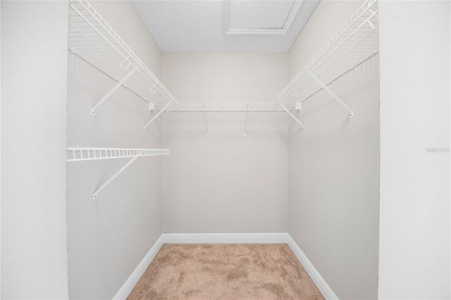 8848 BOGAERT DRIVE, Groveland, FL 34736