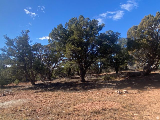 45870 W COLT RD, Fruitland, UT 84027