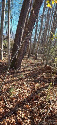 Lot 3 Turtle Rock Lane, Waynesville, NC 28785