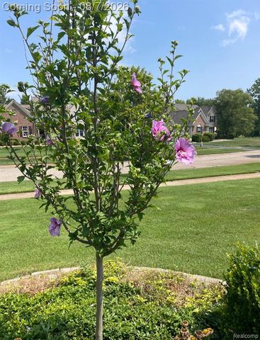5818 Pine Trace Court, Howell, MI 48843
