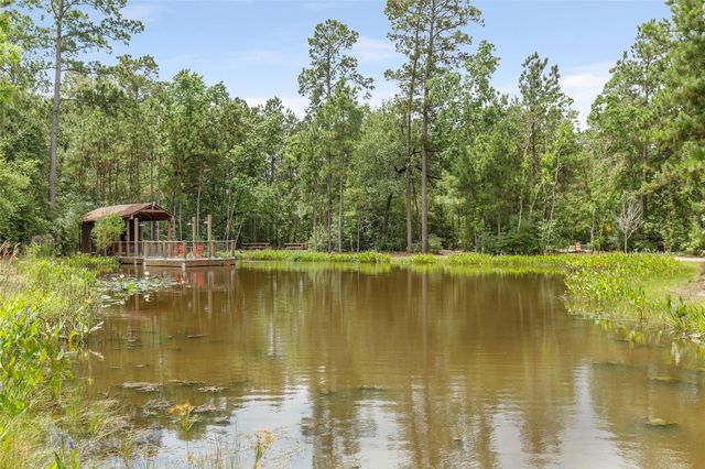 16907 Kyler Creek Trl, Humble, TX 77346