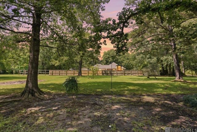 29685 Amvets Rd, Albany, LA 70711