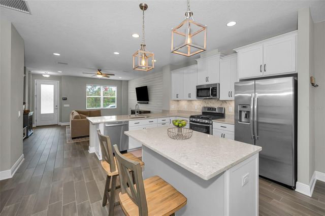 13125 BATTEN LANE, Odessa, FL 33556
