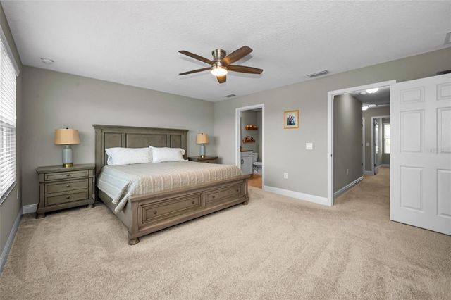 13125 BATTEN LANE, Odessa, FL 33556