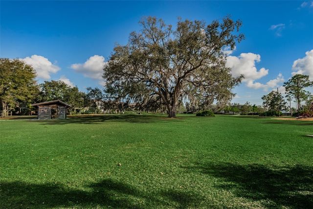 13125 BATTEN LANE, Odessa, FL 33556