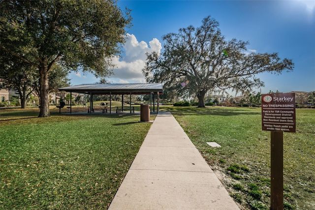 13125 BATTEN LANE, Odessa, FL 33556