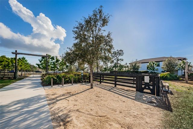 13125 BATTEN LANE, Odessa, FL 33556