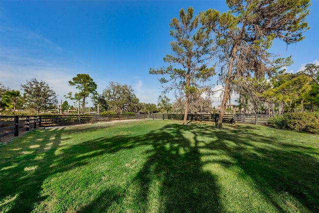 13125 BATTEN LANE, Odessa, FL 33556