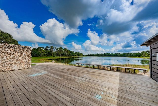 13125 BATTEN LANE, Odessa, FL 33556