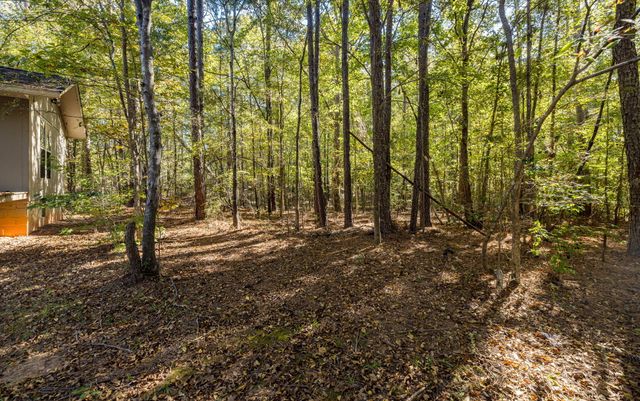 6768 Cobbham Road, Appling, GA 30802