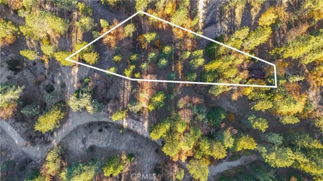 32703 Tulip Lane, Arrowbear, CA 92382