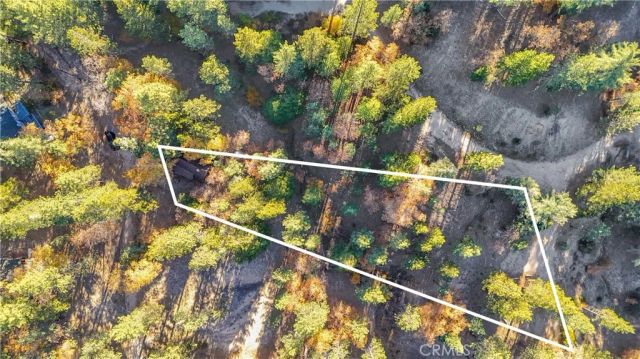 32703 Tulip Lane, Arrowbear, CA 92382