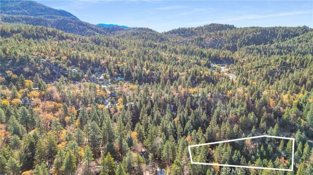 32703 Tulip Lane, Arrowbear, CA 92382