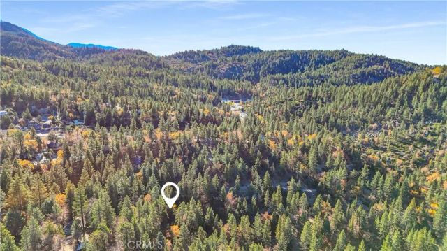 32703 Tulip Lane, Arrowbear, CA 92382