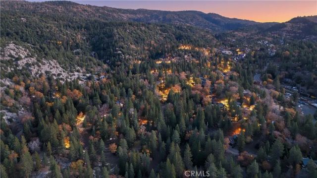 32703 Tulip Lane, Arrowbear, CA 92382