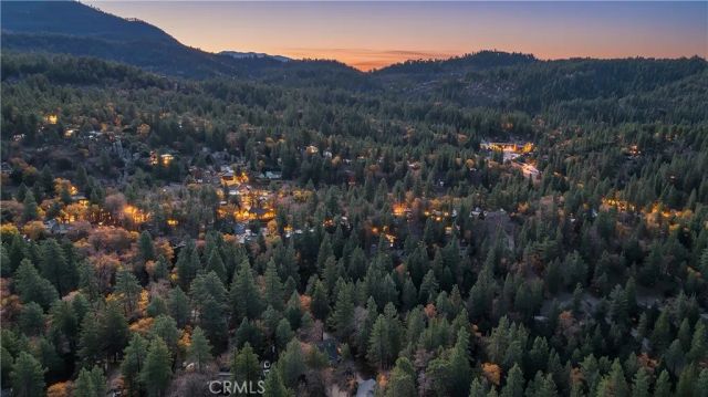 32703 Tulip Lane, Arrowbear, CA 92382