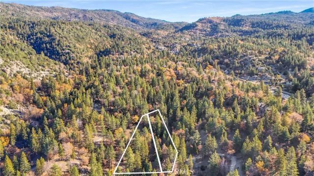 32703 Tulip Lane, Arrowbear, CA 92382