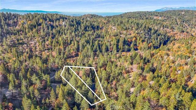 32703 Tulip Lane, Arrowbear, CA 92382