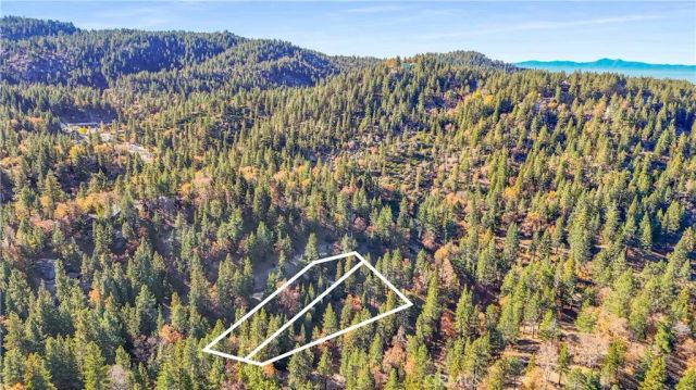 32703 Tulip Lane, Arrowbear, CA 92382