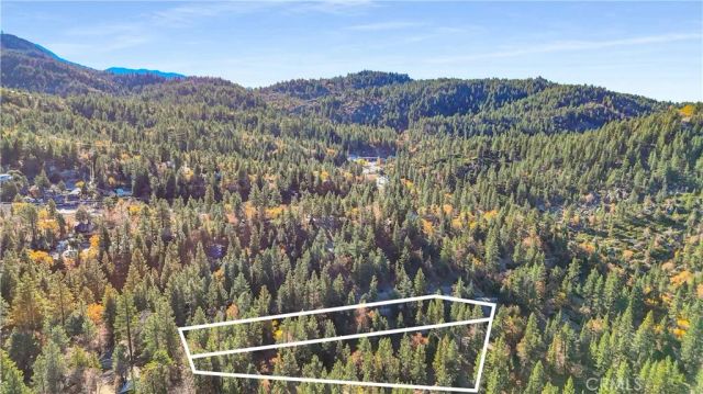 32703 Tulip Lane, Arrowbear, CA 92382