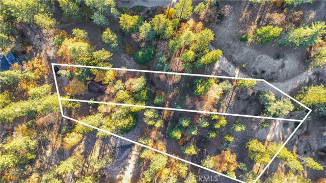 32703 Tulip Lane, Arrowbear, CA 92382