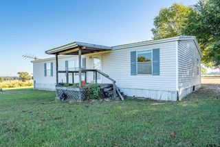 11621 CR 4331, Larue, TX 75770