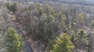 Tr 7 Mountain Laurel Court, Unicoi, TN 37692