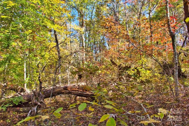 0 Bitteroot Circle 294, Rutherfordton, NC 28139