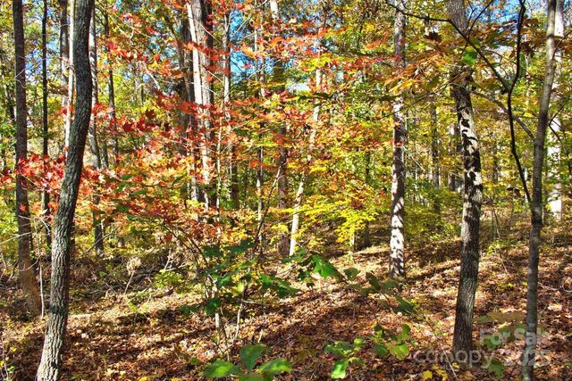 0 Bitteroot Circle 294, Rutherfordton, NC 28139