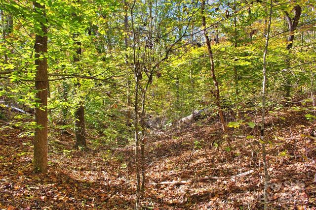 0 Bitteroot Circle 294, Rutherfordton, NC 28139