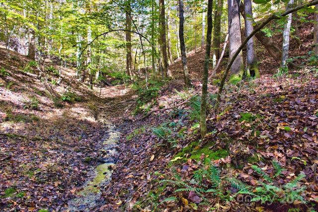 0 Bitteroot Circle 294, Rutherfordton, NC 28139