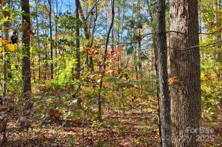 0 Bitteroot Circle 294, Rutherfordton, NC 28139