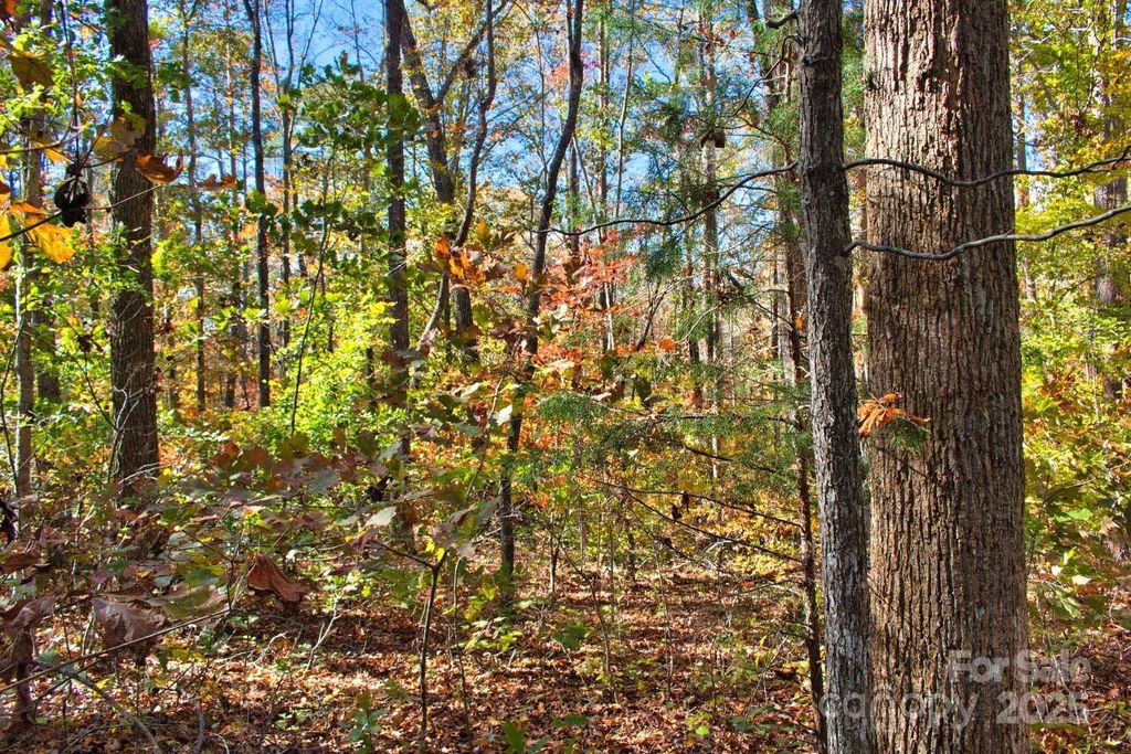 0 Bitteroot Circle 294, Rutherfordton, NC 28139